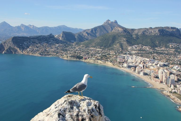 Direktflüge nach Alicante ab 17 € Billigflüge finden mit Direktflug.de