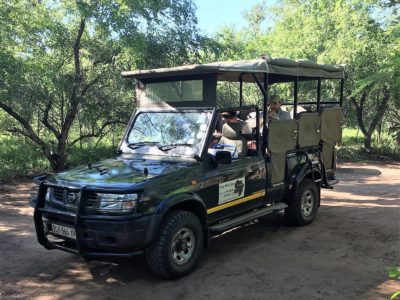Safari Krueger Nationalpark