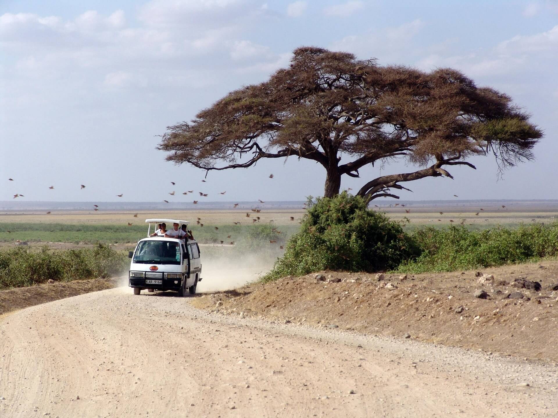 Kenia Badeurlaub buchen: Traumstrände, Safari und Tipps für die perfekte Reiseplanung