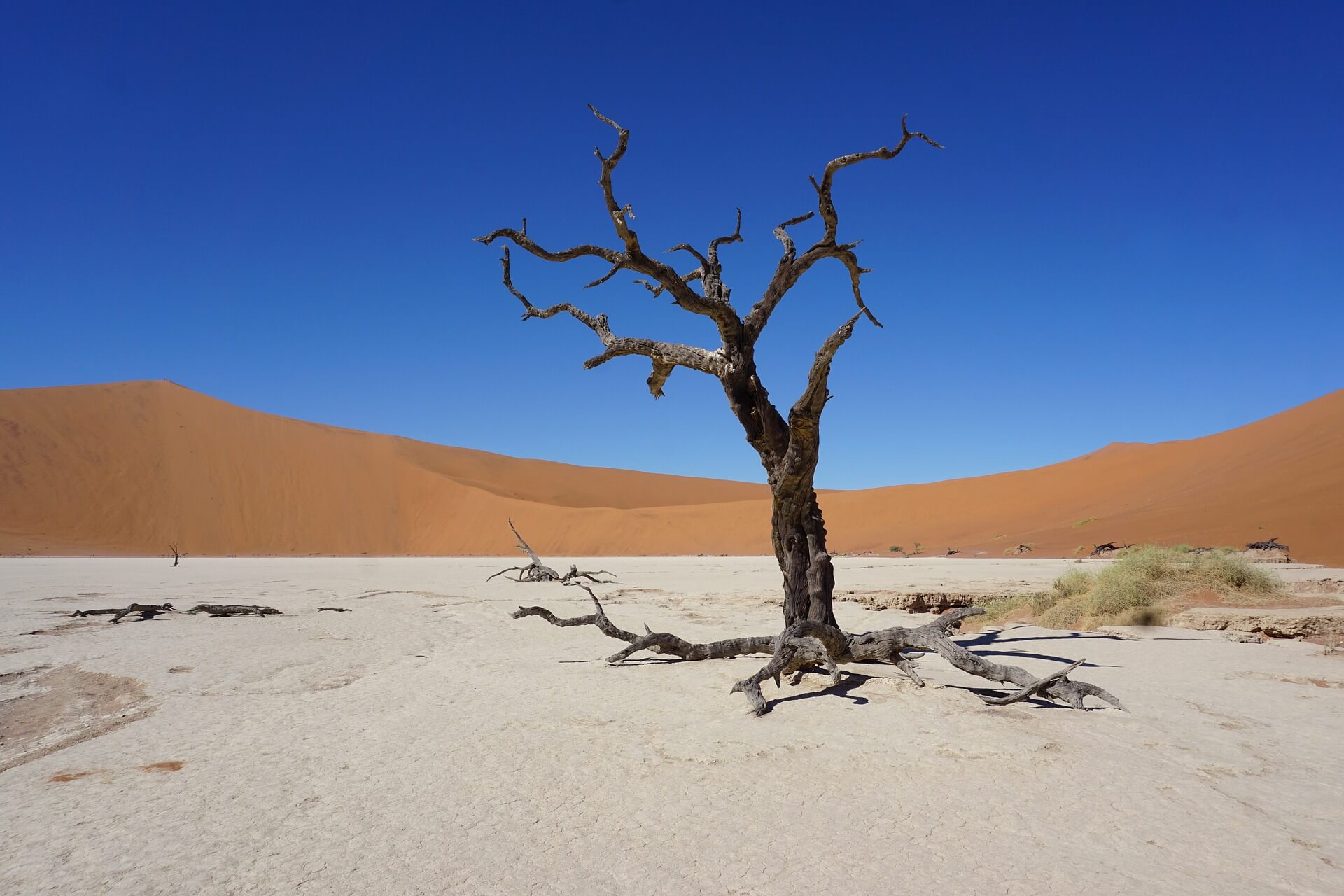 Südlich der Sahara: 5 Länder, in denen du Afrika noch ungefiltert erleben kannst